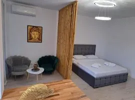 Luxury Studio Pipera