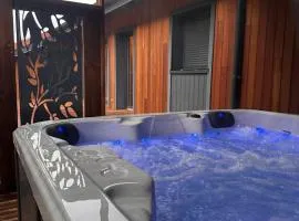 chalet zélcova avec spa à Gérardmer