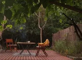 The Urban Cabin