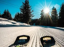 Panorama View-Stoykite