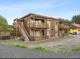 Sentrum Lux Apartment