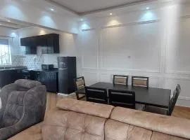 Modern & Luxury Apartment
