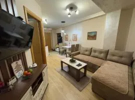Apartman centar- Montana