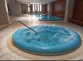 Dunapest thermal luxury residence
