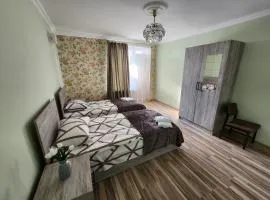 Old Friends Cozy House