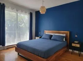 VIAU-1BR near Olympic Stadium