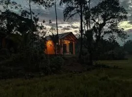 Forest & Fields Sinharaja - Calmness on the Edge of the Rainforest