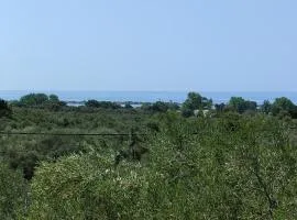 Sea view accommodation close to Halikounas beach