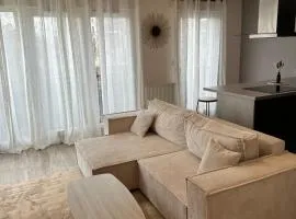 Appartement cosy et charmant Vert-saint-Denis
