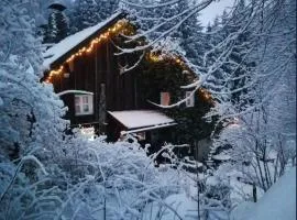 Romantisches Bauernhaus im Dreiländereck D-A-CZ