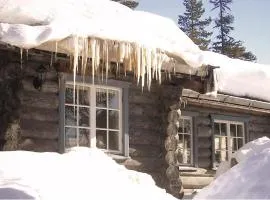 Amazing Home In Sälen With 5 Bedrooms, Sauna And Wifi