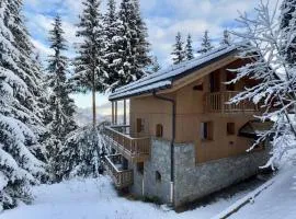 Chalet à Courchevel La Tania
