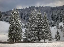 Poiana Cristian，位于波亚纳布拉索夫的酒店