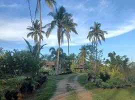 AsunEus Farm