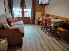 Appartement mezzanine 4 pers, sud, balcon, Valloire - FR-1-263-27