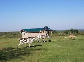 Olgosua Homestay Maasai Mara