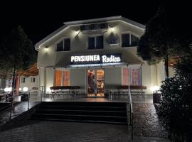 Pensiunea Rodica, hotel in Nădlac