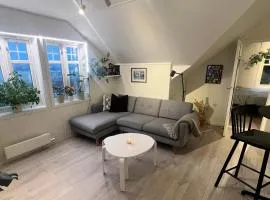 Cozy apartment on the hill