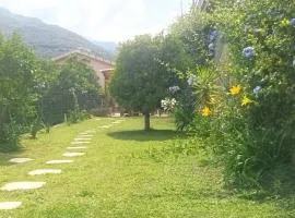 Iris Casa Vacanze