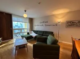 Traditional City Apt - free parking