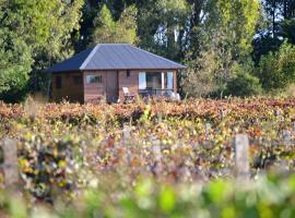 EntreViñas, country house in Carmelo