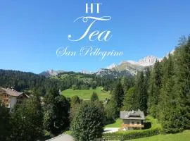 TEA San Pellegrino - DOLOMITI