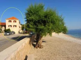 Apartments Piv