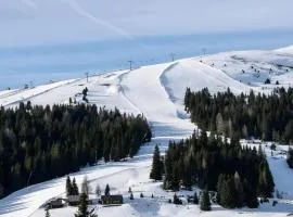 Edelweiss Lodge Lachtal I Snow Guarantee - Seasonal Service & Self Check-in