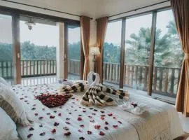 The Paddies Villa #delux