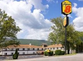 Super 8 by Wyndham Burnham/Lewistown