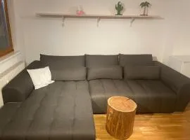 FeWo-Gmunden - Traunsee Apartment 60 m2