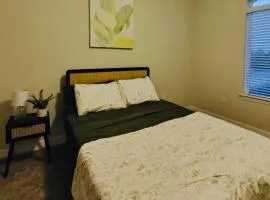 Modern Stay Near Austin Attractions