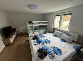 Villa Adushi, vila v destinaci Prizren