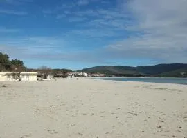 Gelsomino