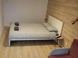 Studio Close to Oldtown City Center