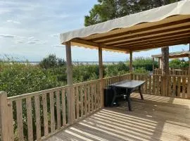 Joli Mobil-home spacieux Mar Estang