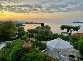 Villa Athena Skiathos