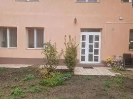 Ciorogariu5