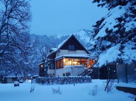 Le Vieux Tilleul, hotel en Seyne