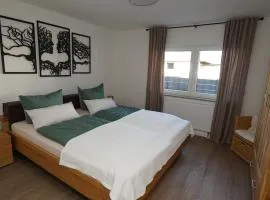 Beautiful Apartment 5 minutes to RAB TLA-TLF-TDY