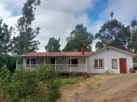 cabañas campestre san juan 1
