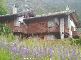 GUEST HOUSE SOPHIE - Chambres d'Hotes -CIR 0196