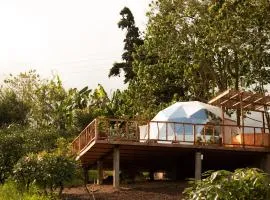 Wallaby Glamping