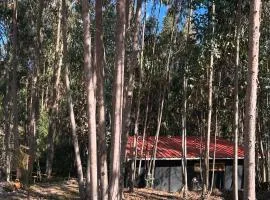 Casa Eucalipto