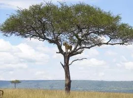 Savannah Solace Mara Camp