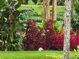 Celeiro Stein, hotel i Domingos Martins