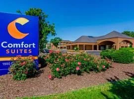 Comfort Suites Chesapeake - Norfolk