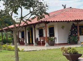 Eje cafetero Cacique Amarillo Finca