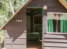 Sitio Holistico Natureza Sanadora