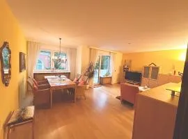 Gemütliche und Zentrumsnahe Wohnung in Goslar